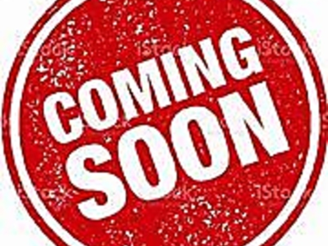 ������O�����������̎ʐ^1