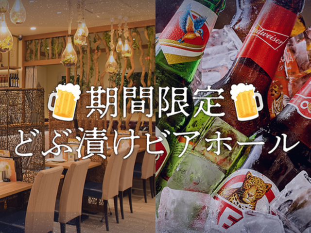 �f�B�b�v�K�[�f���e���XKITTE���X�̎ʐ^1