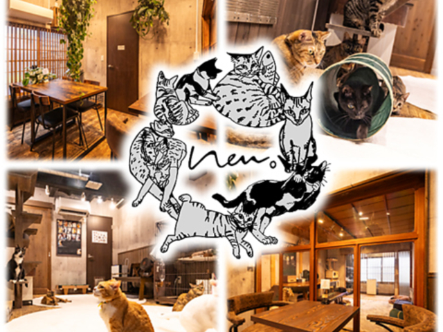 �ی�L�J�t�Fneu �l�E�̎ʐ^1