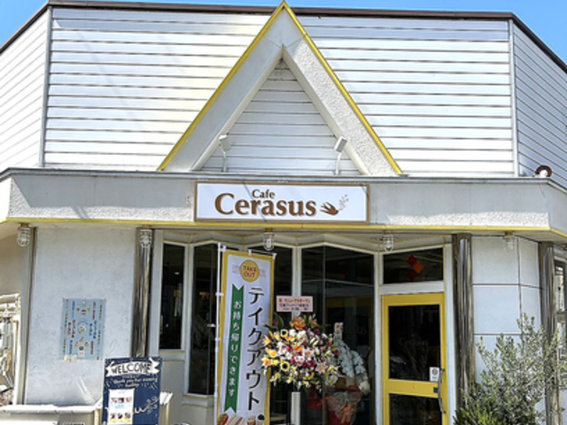 Cafe Cerasus JtF PXX̎ʐ^1