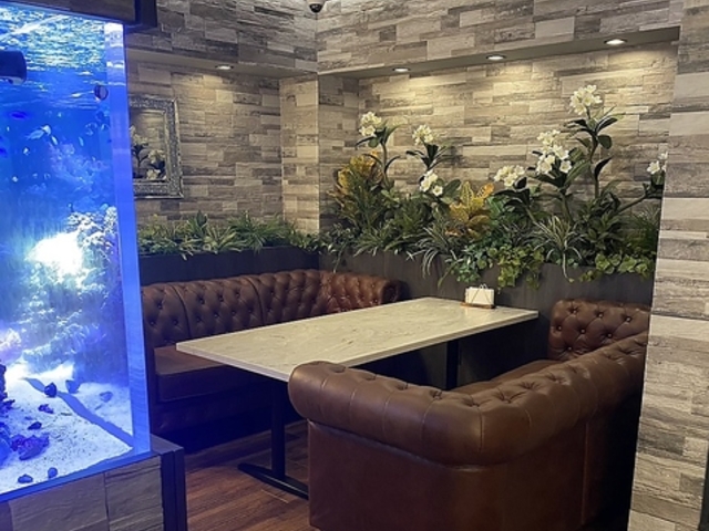 AC~[YEvA JtF_CjO̎ʐ^1