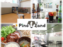 PinoLand̎ʐ^1