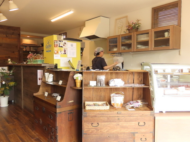 Gecko QbR[ \tgN[̎ʐ^1