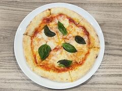 Maltese マルチーズの写真1