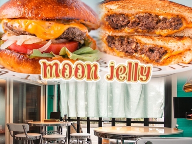 moon jelly [WF[̎ʐ^1