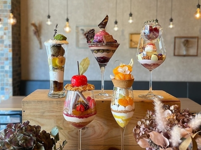 ptFBAR&VIGO cwOX̎ʐ^1