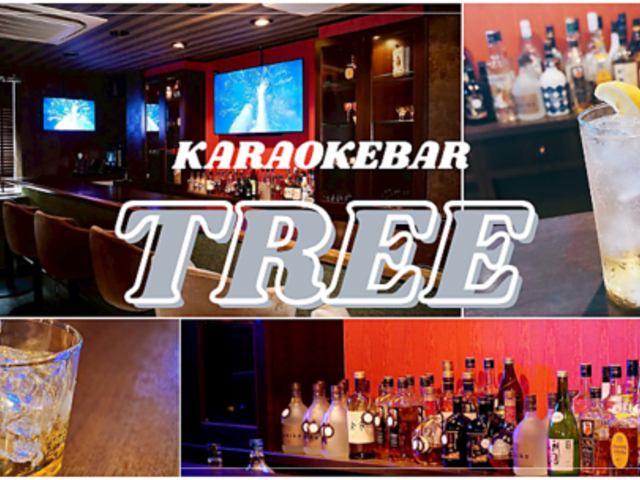 JIP BAR TREE s_̎ʐ^1