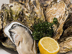 OysterBar OISSU ICbX L̎ʐ^1