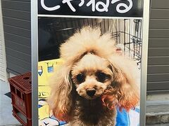 ������ ����˂�̎ʐ^1