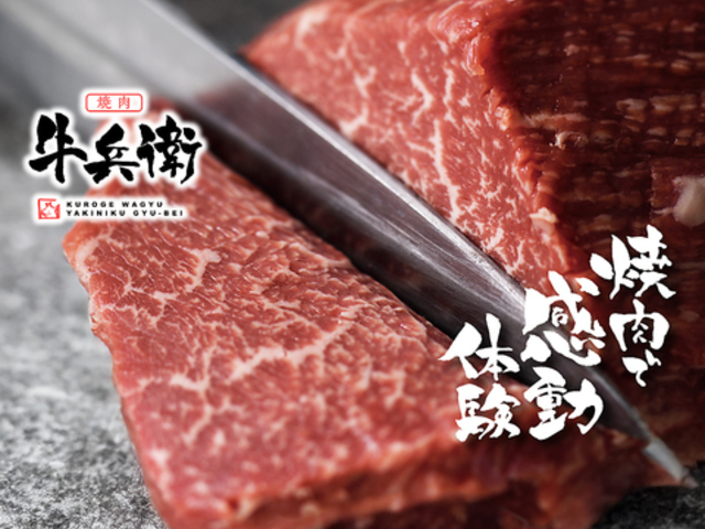 �ē� �����q �h�{�X�̎ʐ^1