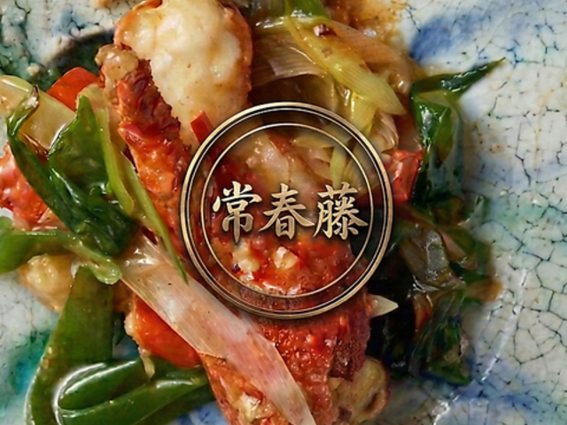 ��t�� ����w�̎ʐ^1