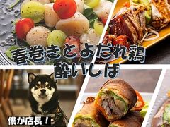 春巻きとよだれ鶏 酔いしば 谷町六丁目の写真1