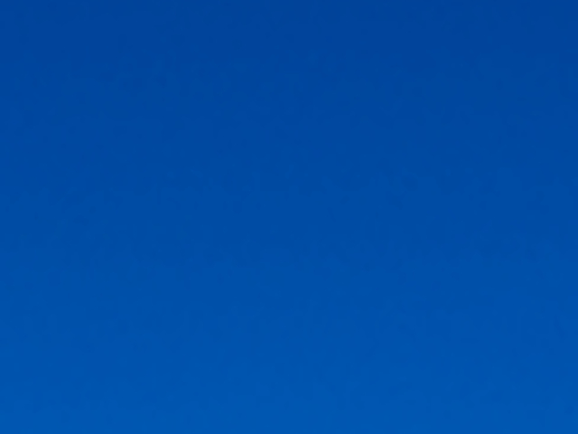 PITBULL BROTHERS �s�b�g�u���u���U�[�Y�̎ʐ^1