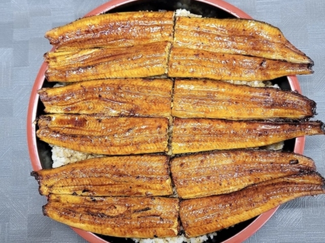 �V�Ə����c���c�@���q�X�̎ʐ^1