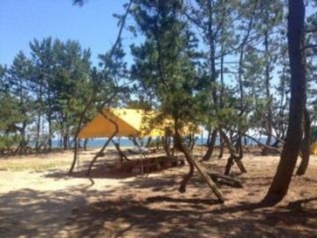 ���c�]�L�����v��