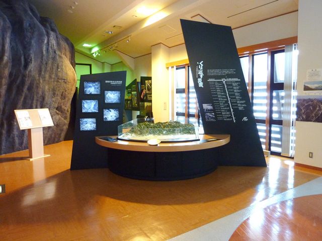 ���R���h�Ȋw��