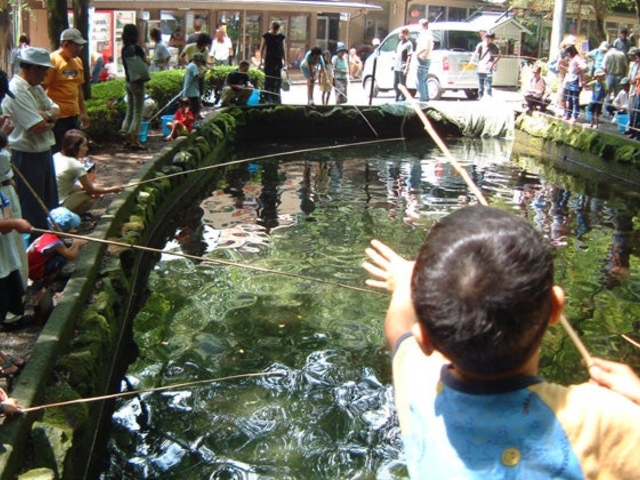 ����䋬��ڂ�