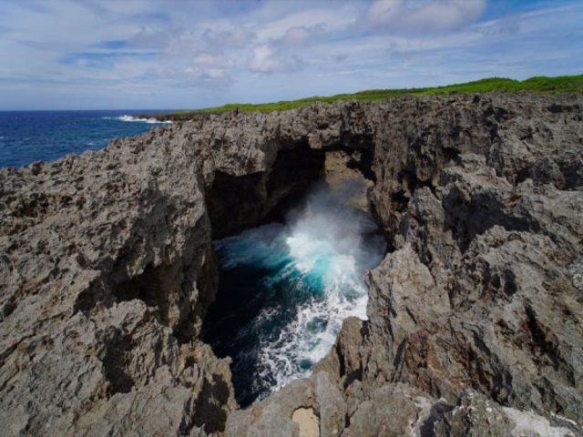 �t�[�`���i�������A�j_�t�[�`��