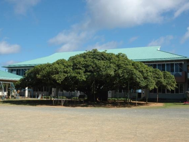 ���{��̃K�W���}��