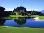 �V���g���[�[ ���B���e�[�W�S���t��y���̎ʐ^1