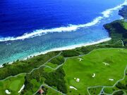 �I�[�V���������N�X�{�Ó��̎ʐ^2