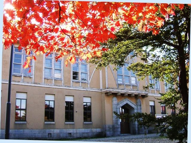 �k�C���і؈��ꋌ����