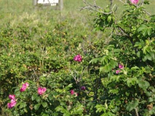 �I���T�������ԉ�