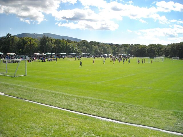 �g���i�[���i��������ړI�O���E���h�j�̎ʐ^1