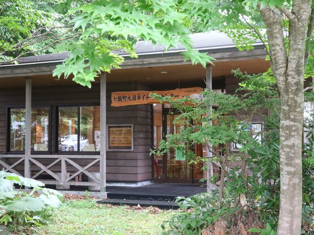 ���ђ�����l�C�`���[�Z���^�[