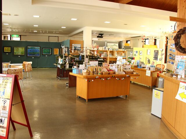 ����ό��ē����i������ی𗬃v���U�j