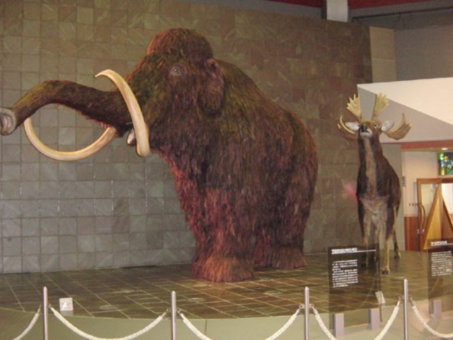 ��߂�����