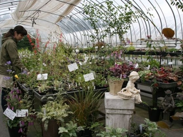 ��X�K�[�f��