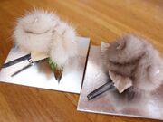 ��o�є�X�̎ʐ^2