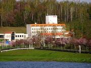 �������򃌁[�N�T�C�h�����̎ʐ^1