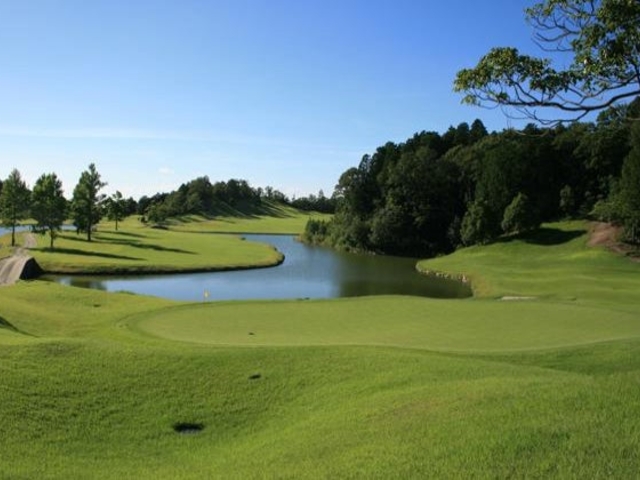 TGC18H�O���[����蕂����]��_�U�E�g���f�B�V�����S���t�N���u