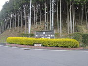 xmX^WASty kR[X̎ʐ^3