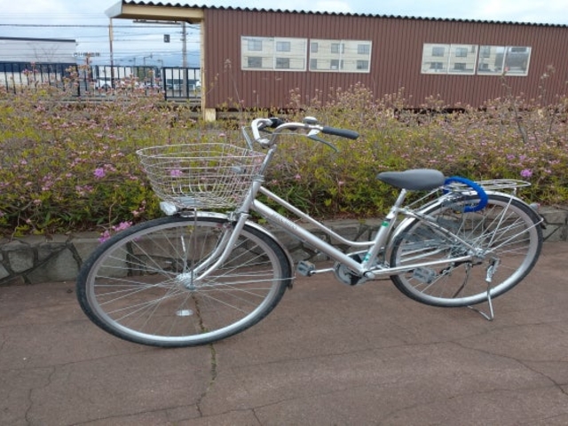 ���񂭂镁�ʎ��]��_����N��