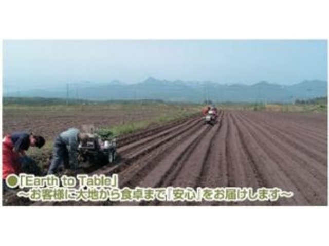 ������А����J���_�Y�̎ʐ^1