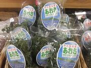 �ɍ]�����Y�Z���^�[�̎ʐ^2