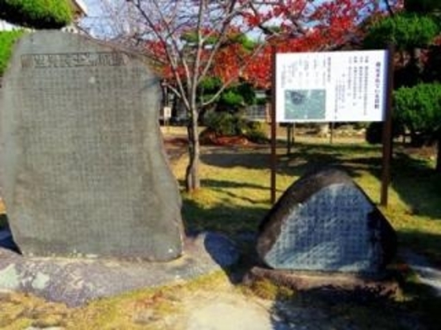 �z���m���v��̎ʐ^1