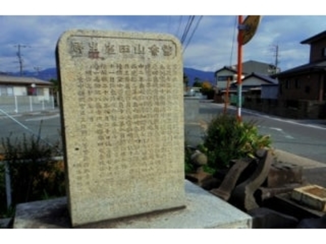 �R�c���⽊z�̎ʐ^1