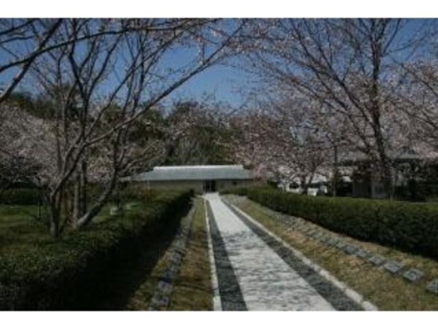 ��V�L�O�ف^������̎ʐ^1