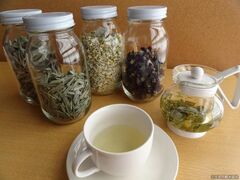 �n�[�u�K�[�f�����c�̎ʐ^