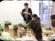 �c�����|�i�����w���H�[�j�̎ʐ^2