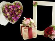 �c�����|�i�����w���H�[�j�̎ʐ^3