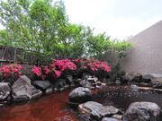 �͂܂Ȃ�����̎ʐ^4