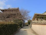 �h�{�V���{�钎��̎ʐ^1