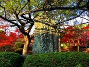 �𐂌��������L�O��̎ʐ^1