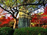 �𐂌��������L�O��̎ʐ^2