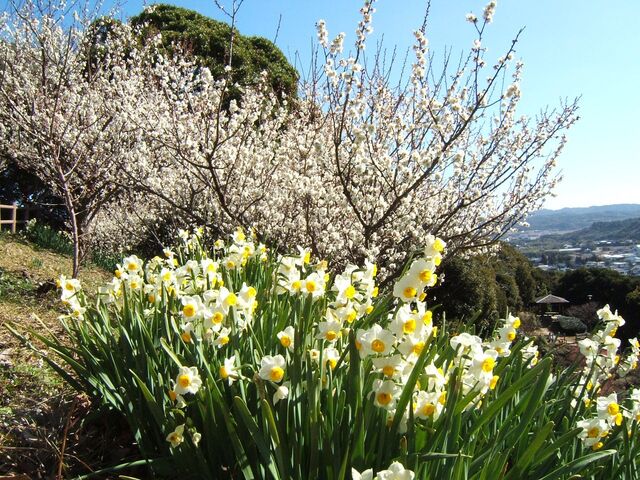 ��R�����~��_��R�����~��